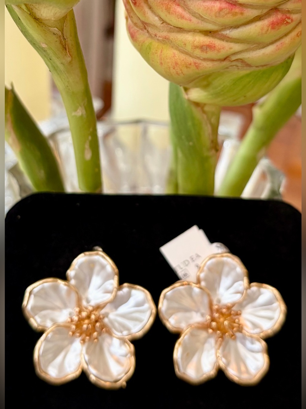 NIB Gold-Trim White Floral and Beautiful Stud Earrings w/Mother-of-Pearl Effect